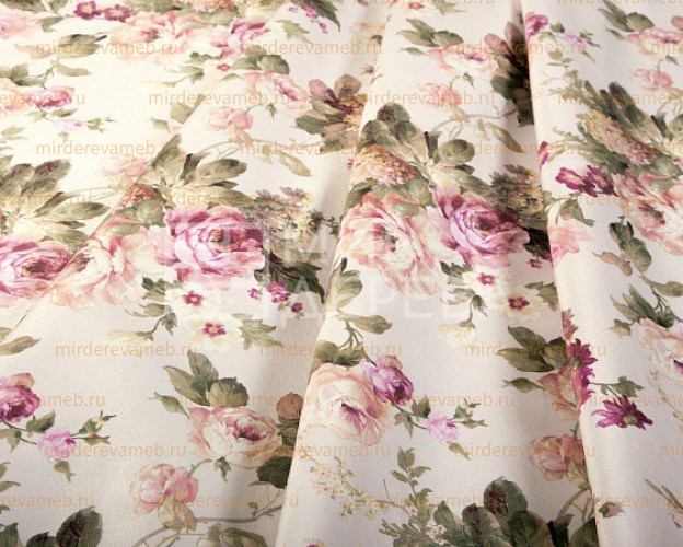 ARCADIA ROSE