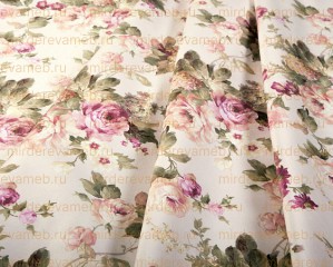 ARCADIA ROSE