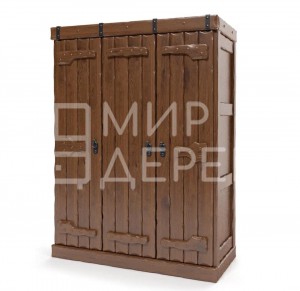 Шкаф платяной Добрыня модель №3